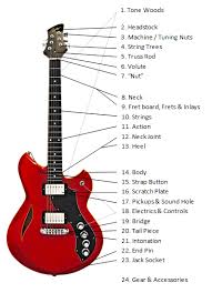 Fender stratocaster | complete plans. Parts Of The Guitar All Anatomy Explained Ultimate Guide