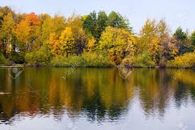 Check out our tree water reflection selection for the very best in unique or custom, handmade pieces from our shops. Autumn Trees Reflected In Water Stock Photo Picture And Royalty Free Image Image 562072