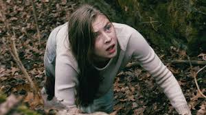 This movie tells the story of an overachieving college student who gets lost on her way to a job interview. Rust Creek Netflix