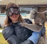 Where did the urban legend of the dangerous Australian drop ...