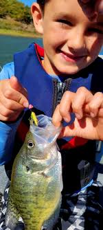 What do you think of my fishing lures after a 10-year break, would they  sell?