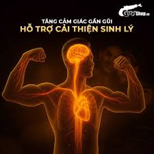 Bột Sìn Sú Kingsman chính hãng – Kéo dài thời gian, tăng bản lĩnh