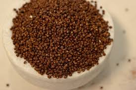 Image result for Aframomum mala