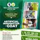 Artificial insemination in Goat event image