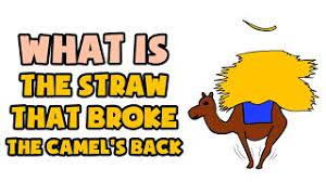 No way, said the camel. What Is The Straw That Broke The Camel S Back Explained In 2 Min Youtube