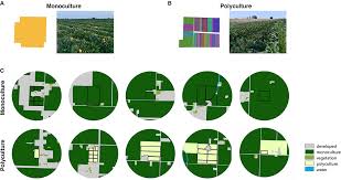Continuous monoculture, or monocropping, where farmers raise the same species year after year,2 can lead to the quicker buildup of pests and. Frontiers On Farm Diversification In An Agriculturally Dominated Landscape Positively Influences Specialist Pollinators Sustainable Food Systems