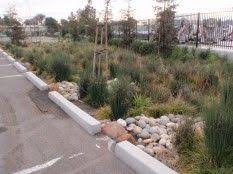 Find 15 listings related to lowes in walnut creek on yp.com. Blue Green Building Parking Lot Runoff Rainwater Harvesting Architecture Rainwater Harvesting Rainwater Harvesting Diy