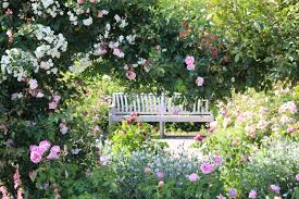 Flowering shrubs for sale flowering shrubs are a landscaping staple. Surprising Flowers Bloom Across Rhs Gardens Due To Weather