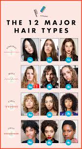 From pompadours and quiffs to buzz cuts and blowouts, this guide will. Fact There Are 12 Different Hair Types Here S How To Style Yours Hair Type Different Hair Types Curly Hair Types