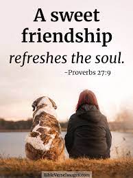 What are the 5 things about friendship? 10 Bible Verses About Friendship Bible Verse Images