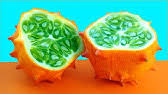 To be highest in bungo fruit at 58.4 mg/100 g. How To Prepare And Eat Bungo Fruit Youtube