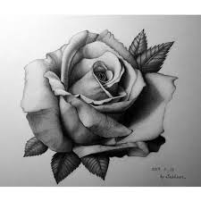 Check spelling or type a new query. Realistic Roses Tattoo Drawing Novocom Top