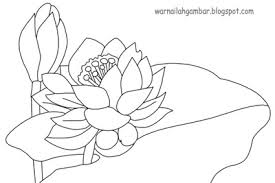 Perbedaan bunga lotus dan teratai. Gambar Mewarnai Bunga Teratai Mewarnai Gambar