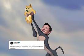 No, elon musk does not own dogecoin. Dogecoin Could Be The Future Of Cryptocurrency Says Elon Musk But Has A Warning