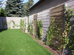 Im Handumdrehen Wird Aus Einer Alten Unschonen Wand Ein Moderner Blickfang Gabionen Wandverkleidung Von Arcadia Hinterhof Garten Gartengestaltung Garten