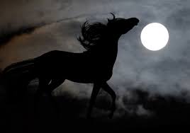 Viele kulturen sagen dem runden, strahlenden erdtrabanten magische kräfte nach und sind sich. Der Vollmond Pferdewiese