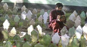 Ziarah kubur sering dilakukan oleh umat muslim ke makam para wali allah. Susunan Bacaan Doa Ziarah Kubur Lengkap Hingga Doa Tahlil