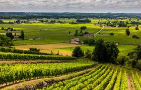 Le grand hammam de bordeaux. Guide To Visiting Bordeaux Wine Cellars Lovetoknow