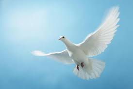 What Are The Seven Gifts Of The Holy Spirit And What Do They Mean Holy Spirit Holy Ghost Isaiah 11