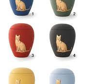 Urne-chat en couleurs différentes