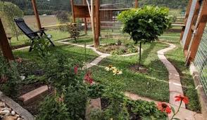 Von Den Saalebirmchen Rassekatzenzucht Heilige Birma In Thuringen Katzengehege Katzenaussengehege In 2020 Katzengehege Heilige Birma Gehege