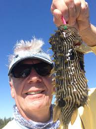 Treasure Coast Fishing Report: It's an odd bite these days