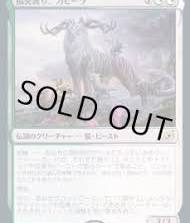 孤児護り、カヒーラ - カードラッシュ[MTG]