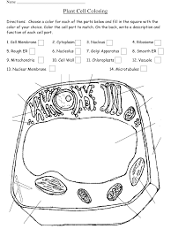 Maybe you would like to learn more about one of these? Plant Cell Coloring Worksheet Download Printable Pdf Templateroller