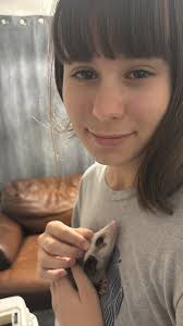 Taxidermy of a possum head