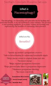 Benefits Of Placentophagy Placenta Encapsulation Northern Colorado Placen Nursing School Prerequisites Importance Of Time Management Online Nursing Schools