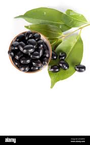 Image result for Syzygium cumini