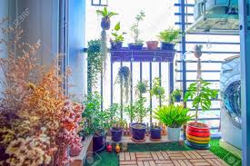 Incluso encontrarás plantas artificiales de exterior perfectas para tu patio o balcón. Plantas Naturales En Las Ollas Colgantes En El Balcon Del Jardin Fotos Retratos Imagenes Y Fotografia De Archivo Libres De Derecho Image 87759301