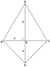 Definition And Examples Kite Define Kite Free Math Dictionary Online