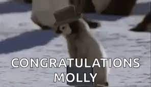 Penguin Job Gif Penguin Job Congratulations Discover Share Gifs Cool Gifs Gif Penguins