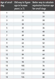 Your dog's height depends mostly on its breed, however you can estimate its maximum possible height from paws to shoulders, using our dog weight chart calculator Morkie Size Chart Lewisburg District Umc