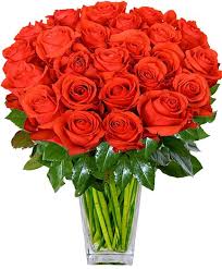 Rose a gambo corto (circa 50 cm) in numero e colore a scelta da un minimo di 9. Comprare Online Un Bouquet Di Rose Rosse Con Consegna A Domiclio A San Donato Milanese
