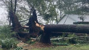 Fundraiser by Jeremiah Akin : Sisters in Need: Helping Mom and Aunt Recover  from Asheville