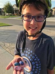 Ottawa hidden painted rock find