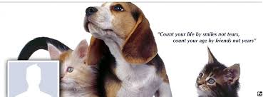 This design list of pinterest back in the day quotes funny words. Funny Animal Quotes For Facebook Quotesgram