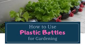 Plastic bottle planter wall | vertical garden diy. 20 Ways To Reuse Plastic Bottles For Gardening Simple Life Of A Lady