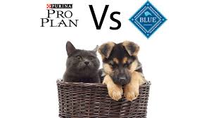 Blue Buffalo Vs Purina Pro Plan High Pet Tential Comparison 2019