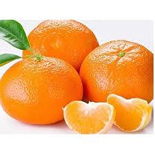 Image result for Citrus reticulata