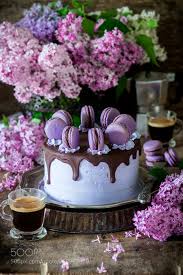 Buttercream Chocolate Cake With Macarons Chocolate Macaron Chocolate Raspberry Mousse Cake Cake