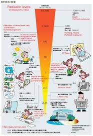 Joejoeboys Blog Infographic Radiation Levels Chart