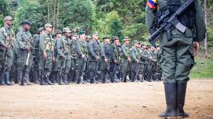 Afirman los organismos de inteligencia que los combates se mantuvieron por dos horas y junto al cabecilla de la 'nueva marquetalia' habrían sido abatidos otros 10. Asi Se Organizan Los Disidentes De Las Farc Para Fundar Una Nueva Guerrilla Alnavio