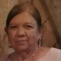 Minerva S. Trejo Obituary