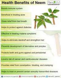 Some Of The Most Important Health Benefits Of Neem Include Its Ability To Treat Dandruff Soothe Irritation Prote Herbs For Health Neem Benefits Healing Herbs