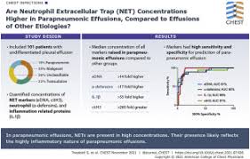Image result for Parapneumonic Effusion