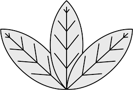 Download Coa Illustration Elements Plants Tobacco Leaves - Easy To Draw  Tobacco Plant Png Image With No Background - Pngkey.com