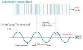 Gelombang seismik primer atau yang pertama kali muncul, adalah gelombang longitudinal akibat tumbukan. Perbedaan Gelombang Transversal Gelombang Longitudinal Perbedaannya Com